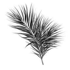 tree date palm leaves ai generated