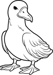 Fototapeta premium Albatross coloring pages vector animals