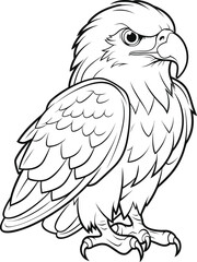 Bald Eagle coloring pages vector animals