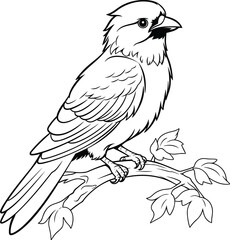 Bird coloring pages vector animals