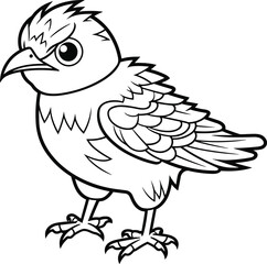 Cuckoo coloring pages vector animals