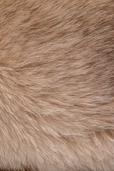 part of a fur coat made of natural beige arctic fox fur