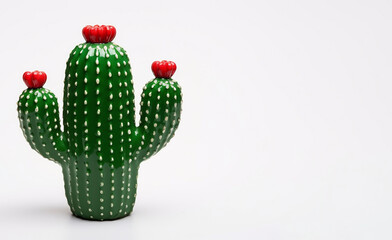 Green mexican cactus, isolate on white background, concept. Banner with empty space for design.