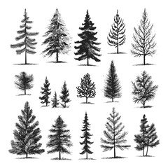 Fototapeta premium Set of Christmas tree elements vector