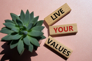 Live your values symbol. Concept words 'Live your values' on wooden blocks with succulent plant. Beautiful pink background. Business and Live your values concept. Copy space.