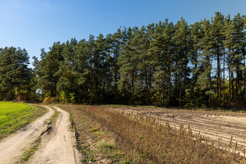 Fototapeta na wymiar A rural road without asphalt in the autumn season