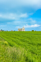 Fototapeta premium Green field and Abbey of Notre-Dame-de-Ré in La Flotte, France