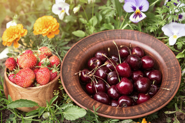 Fresh ripe organic strawberries and cherry berries in bowl, plate closeup in sunlight. Strawberry and cherry berry harvest in garden