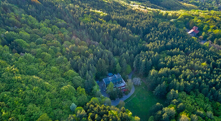 Houses distant far from each other in a dense forest in the mountains in spring, among wild nature. Top view from a drone