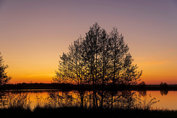 the silhouette of a tree on the background of sunset on the lake is yellow-orange