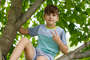 caucasian boy nine years old on a tree in the street. close-up