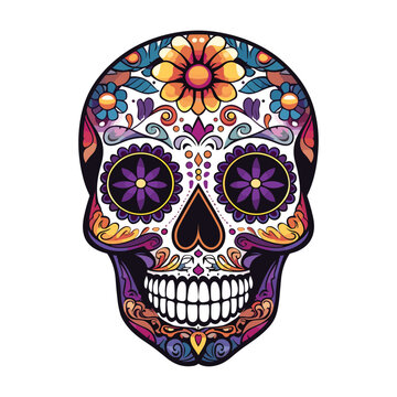 Mexican skull colors ornament Dia de muertos illustration