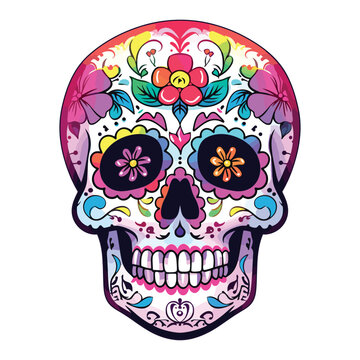 Mexican skull colors ornament Dia de muertos illustration