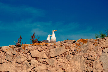 lighthouse on the beach