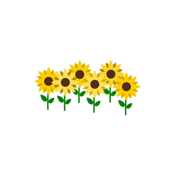 Sunflower in flat style isolated on white background. 