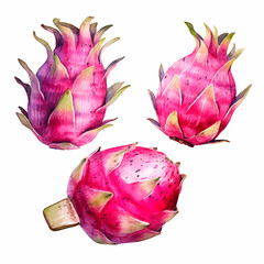 dragon fruit set watercolor on a white background created with Generative Ai