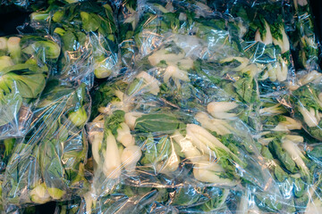 Plastic waste issue. Fresh leafy greens at supermarket produce department, all pre-packed in plastic bags