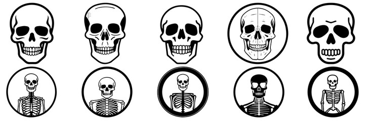 Skeleton silhouettes set, large pack of vector silhouette design, isolated white background