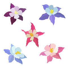 Obraz na płótnie Canvas Vector illustration of aquilegia flowers of different colors Vector collection of colored aquilegia