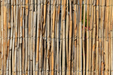 reeds fence texture