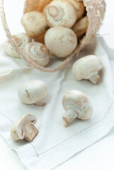 White mushrooms in a basket on white background. Close up - 622625687