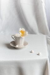 Still life with white flower in a white tea cup on a white background - 622625698
