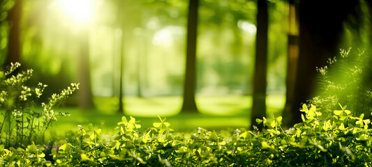 Defocused green trees in forest or park with wild grass and sun beams. Beautiful summer spring...