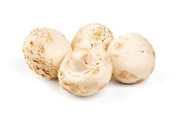 Champignons, close-up, isolated on white background.