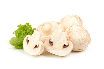 Fresh Champignon mushrooms, isolated on white background.