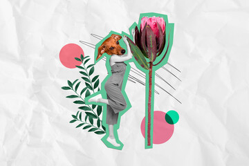 Creative collage illustration picture of headless girl absurd dog dachshund flower international...