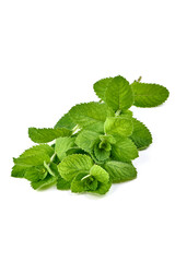 Fresh green mint, isolated on white background.