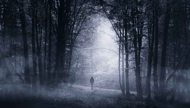 man in dark scary woods at night, halloween landscape