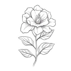 decoration Gardenia flower ai generated