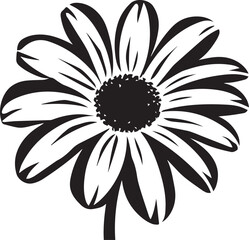 Shasta Daisy Black And White, Vector Template Set for Cutting and Printing