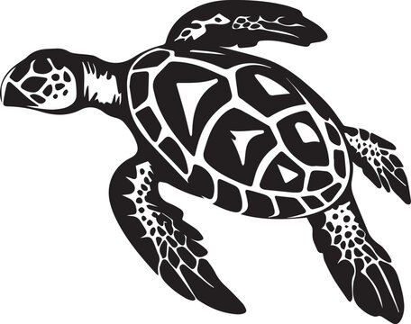 Sea turtle Black And White, Vector Template Set for Cutting and Printing