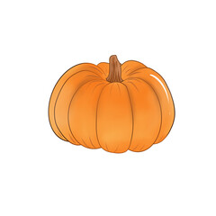 pumpkin isolated on white background