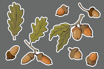 Acorns sticker set.