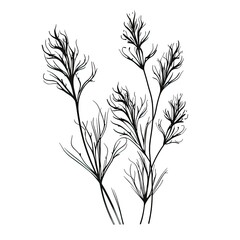 Naklejka premium sketch milfoil ai generated