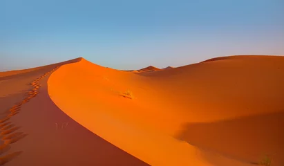 Poster Sand dunes in the Sahara Desert, Merzouga, Morocco -  Beautiful sand dunes in the Sahara desert with amazing sunrise - Sahara, Morocco © muratart