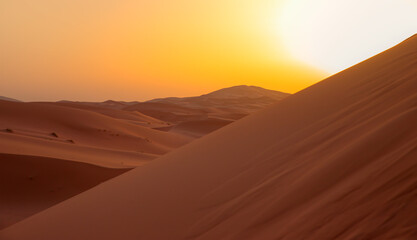 Sand dunes in the Sahara Desert, Merzouga, Morocco -  Beautiful sand dunes in the Sahara desert with amazing sunrise - Sahara, Morocco