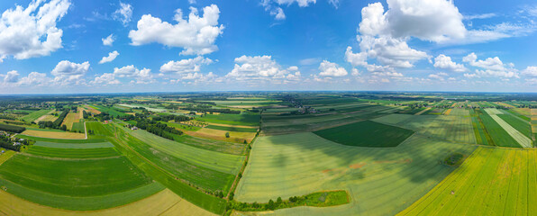 Abstract geometric shapes of agricultural parcels of different crops in yellow and green colors....