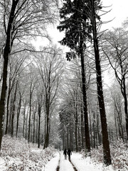 People walking through snow covered forest in winter