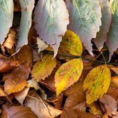 autumn leaves on the groundai generated, generated ai