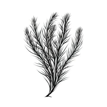 background milfoil ai generated