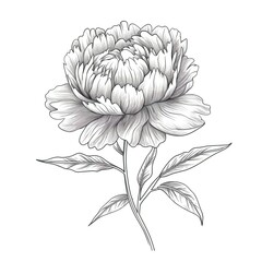 floral peonies ai generated
