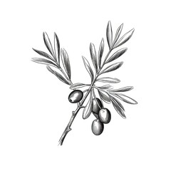 leaf olive ai generated