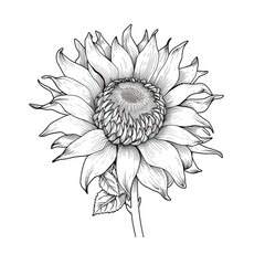 food sunflower nut ai generated