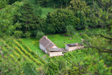 Rural house with vineyards on hill Csobanc, Balaton Uplands, Hungary