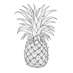 leaf pineapple ai generated