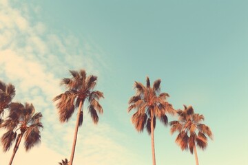 Fototapeta na wymiar Vintage Vibes Retro-Toned Palm Trees with Sky as Copy Space. Generative AI